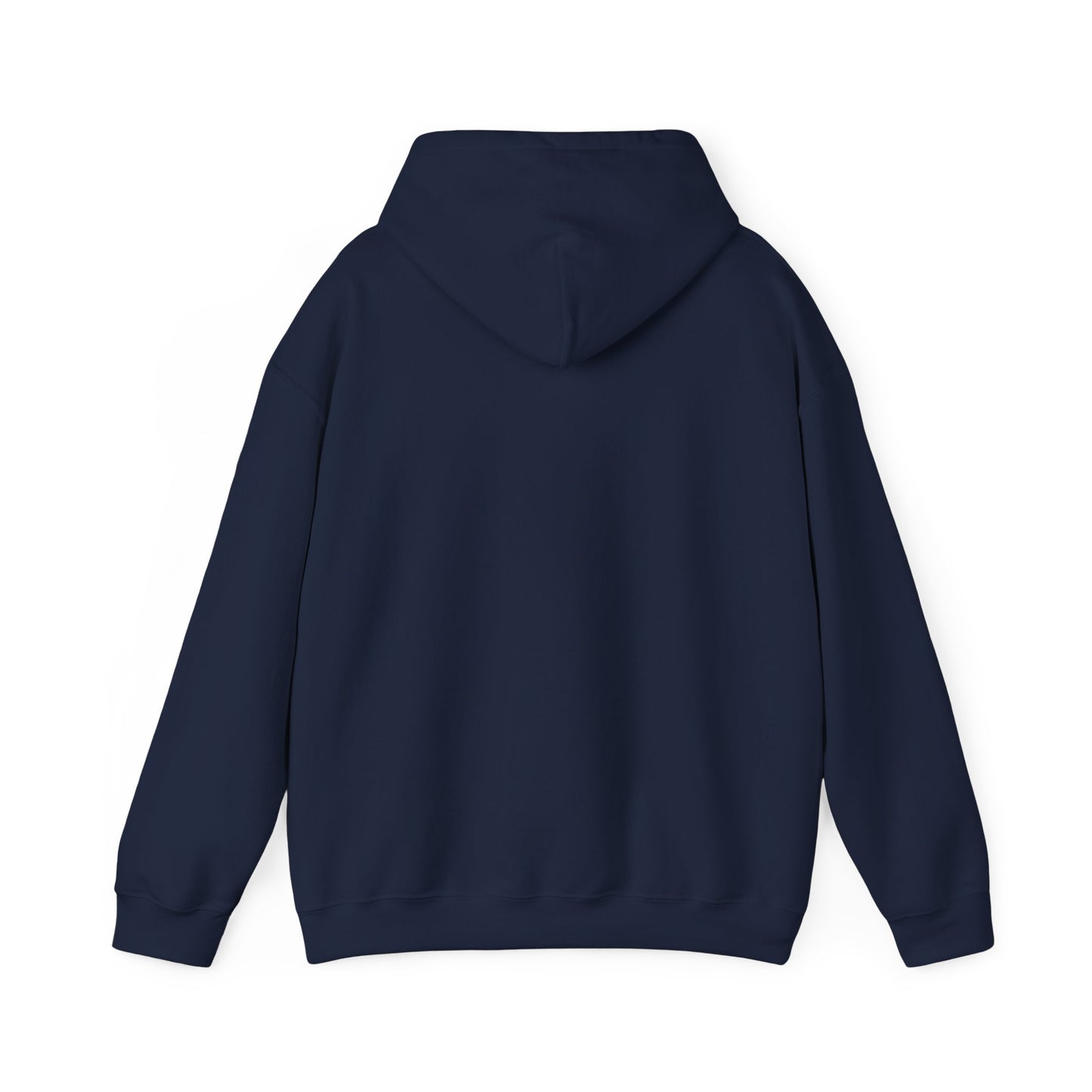 Houston TX Silver Graffiti Hoodie