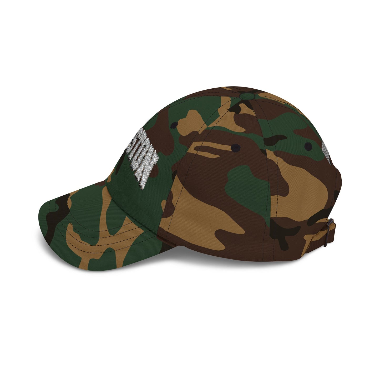 Houston (silver) Embroidered Baseball Hat