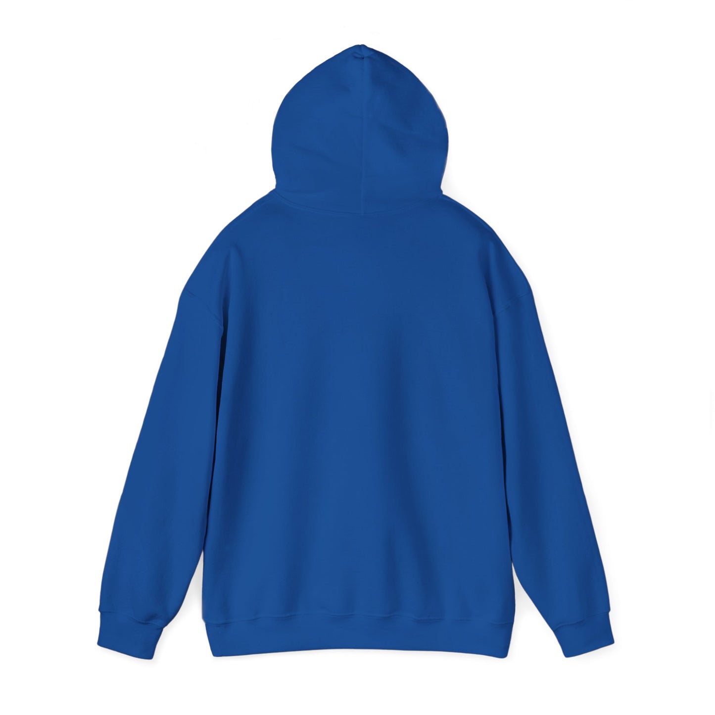 Houston TX Silver Graffiti Hoodie