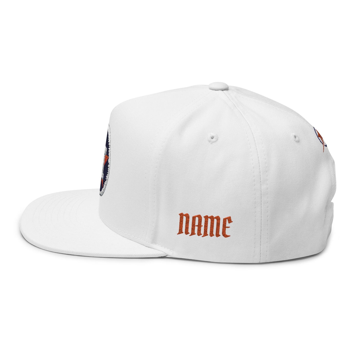 CUSTOM Houston Astros Embroidered Flat Bill Cap