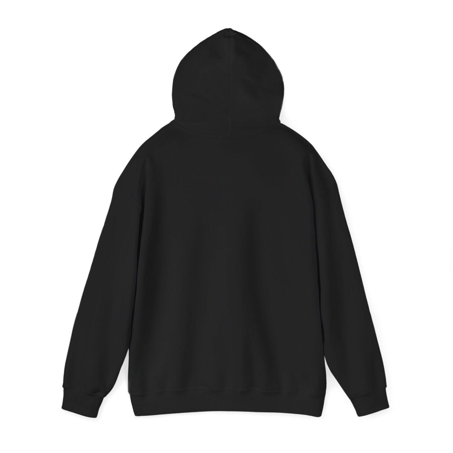 Houston TX Silver Graffiti Hoodie